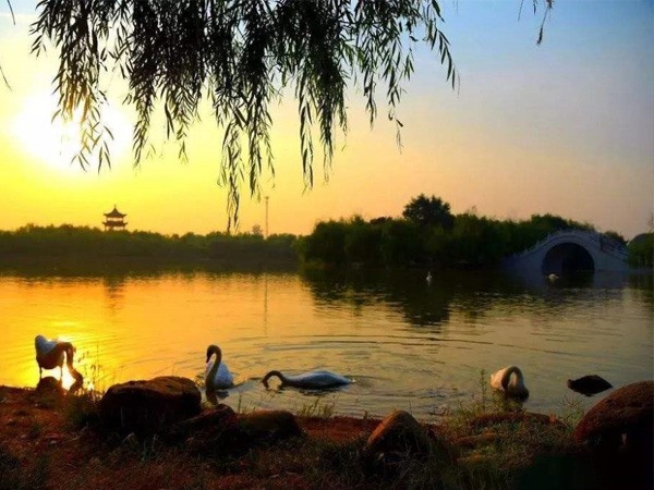 東昌湖風景